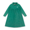 Colorburst Collar Dress