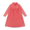 Colorburst Collar Dress