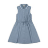 Classic Silhouettes Collar Dress