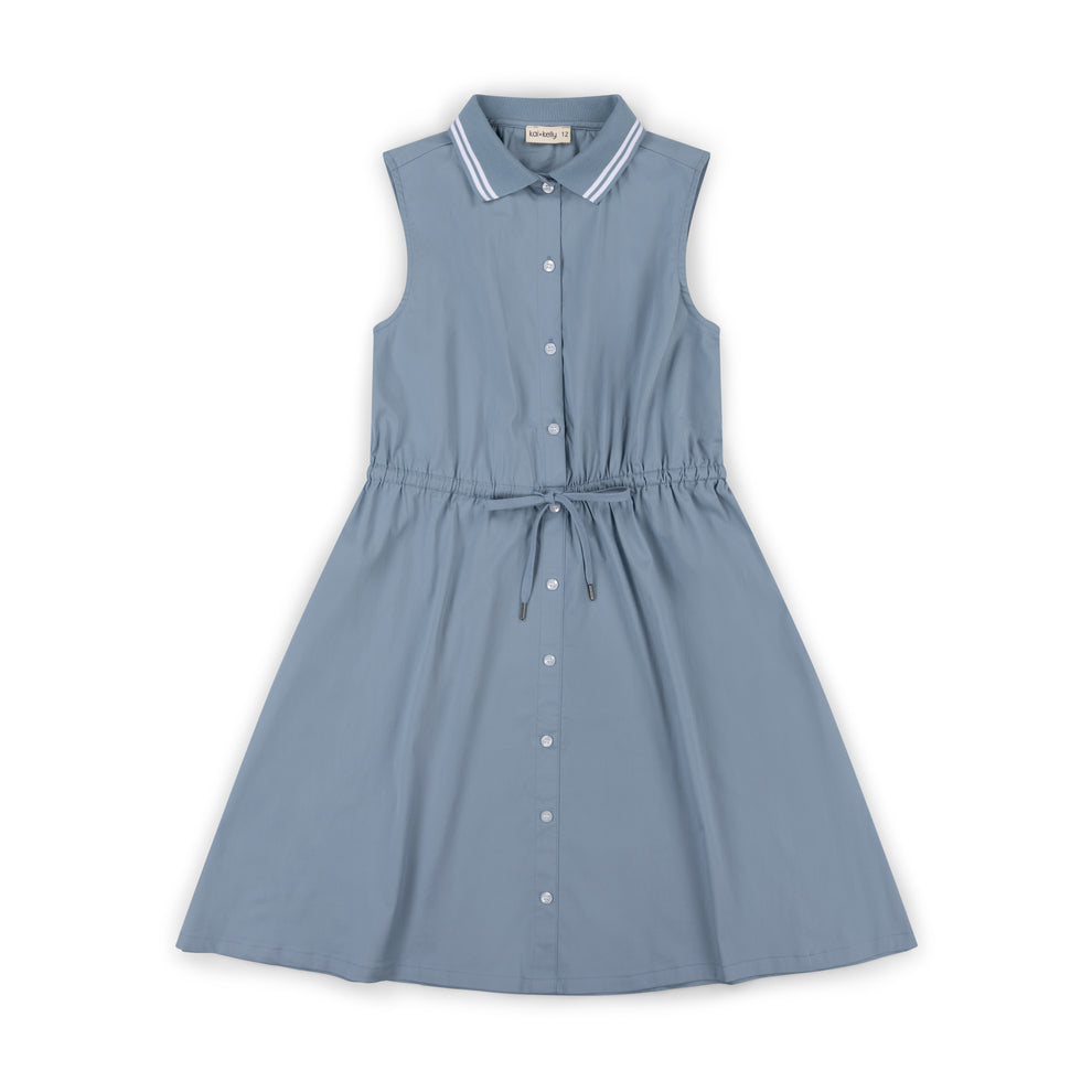 Classic Silhouettes Collar Dress