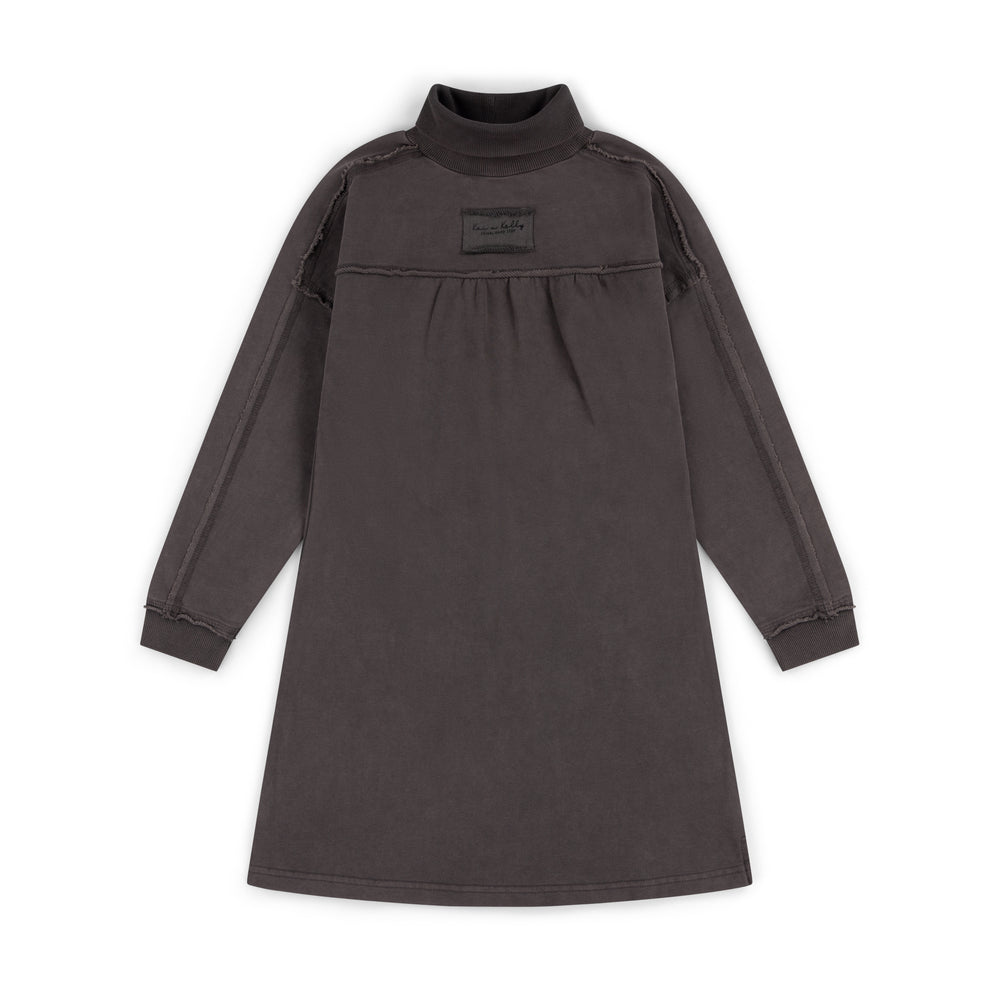 Quiet Comfort Turtleneck Dress